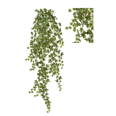 Edera cadente cm.100 verde