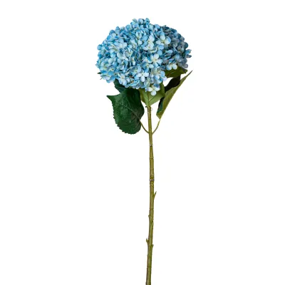 Ortensia cm.75 blu