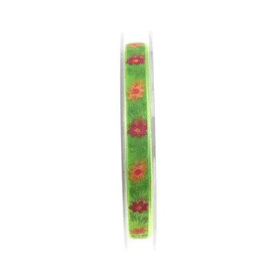 Nastro zehra mm.10 m.20 verde