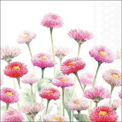 Tovagliolo carta 33×33 bellis (pz.20)