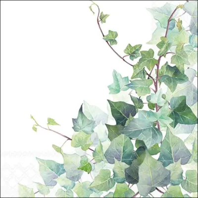 Tovagliolo carta 33×33 hedera (pz.20)