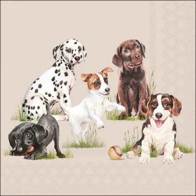 Tovagliolo carta 33×33 puppies (pz.20)