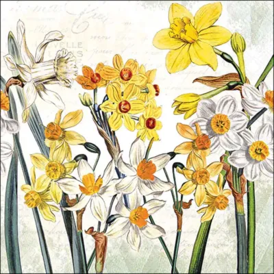 Tovagliolo carta 33×33 narcisi (pz.20)