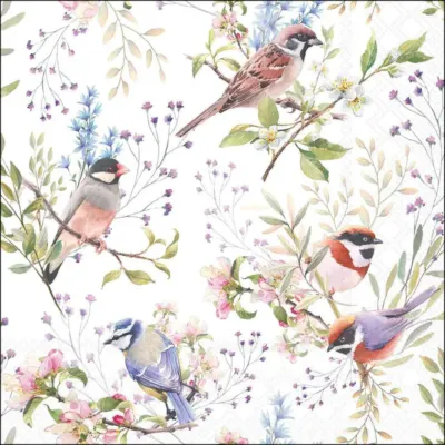 Tovagliolo carta 33×33 birds (pz.20)