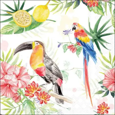 Tovagliolo carta 33×33 tropical (pz.20)