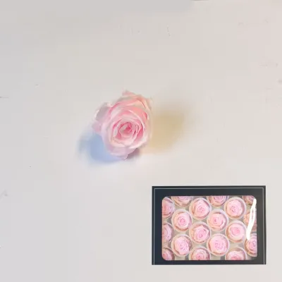 Rosa pres. d.03 rosa (pz.18)