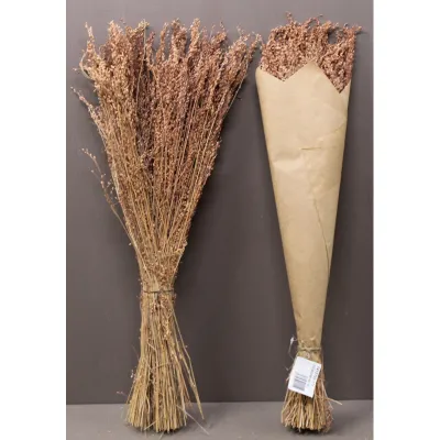 Star grass gr.100 miele