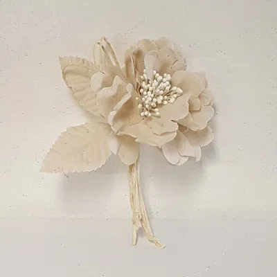 Peonia pick h. 14 (12 pz.)