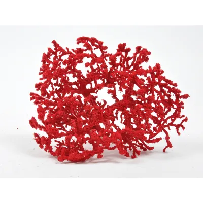 Corallo rosso 20x15 cm. 