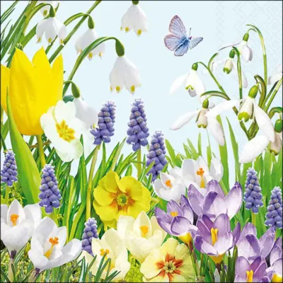 Tovagliolo carta 33×33 spring (pz.20)