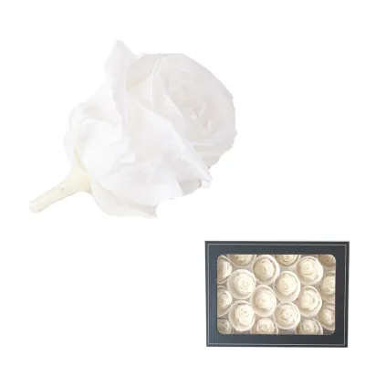 Rosa pres. d.03 bianco (pz.18)