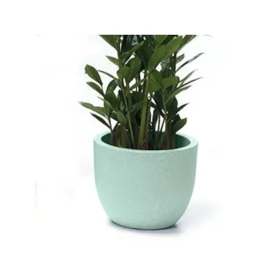 Vaso etria d.24 marea