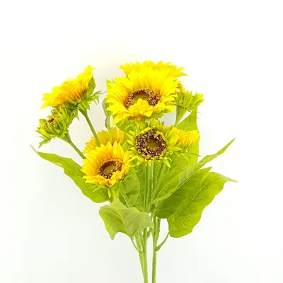 Girasole mazzo 9 fiori cm.60