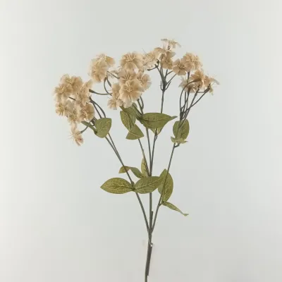 Dianthus cm.65 avorio