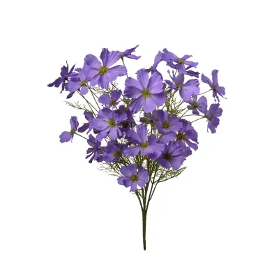 Cosmea mazzo cm.50 viola