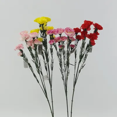 Garofanella stelo cm.60 assortito