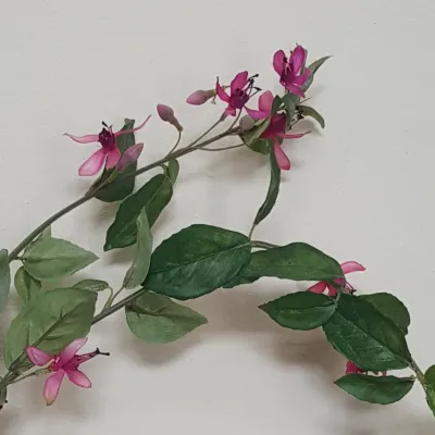 Fucsia ramo cm.103 ciliegia