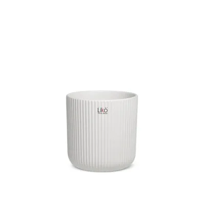 Narciso-cachepot d.13 bianco