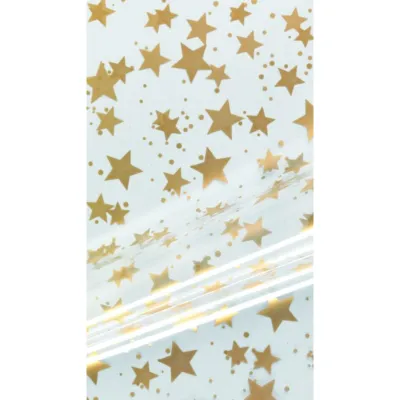 Buste 25x40 starry oro (pz.50)