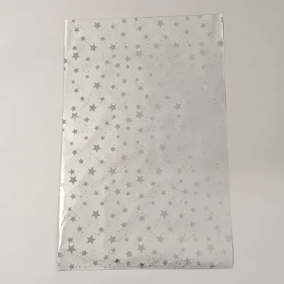 Buste 25x40 starry argento (pz.50)