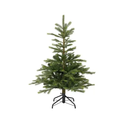 Albero grandis fir h.120