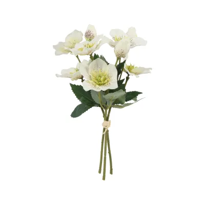 Mazzetto elleboro bianco 9 fiori