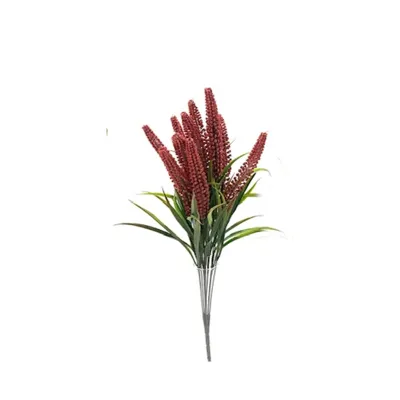 Veronica bushx11 cm.64 rosso