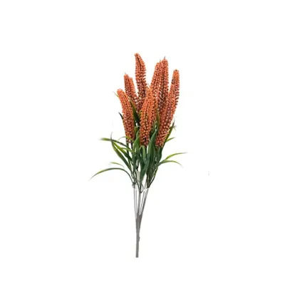 Veronica bushx11 cm.64 arancio