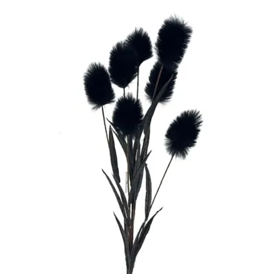 Pampas ramo x7 cm.105 nero