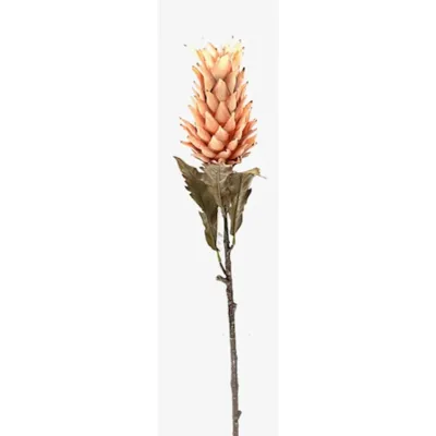 Alpinia ramo foam cm.80 giallo