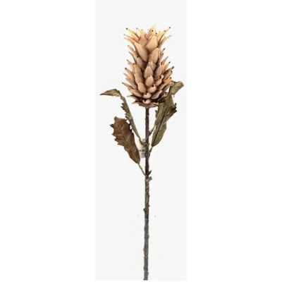 Alpinia ramo foam cm.80 crema