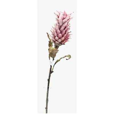 Alpinia ramo foam cm.80 lilac