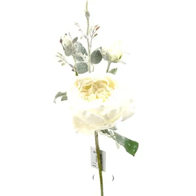 Rosa cabbage cm.65 bianco