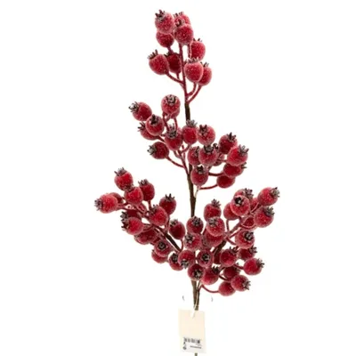 Bacche ramo cm.70 rosso ghiacciato