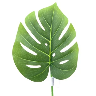 Foglia philodendro cm.60 verde