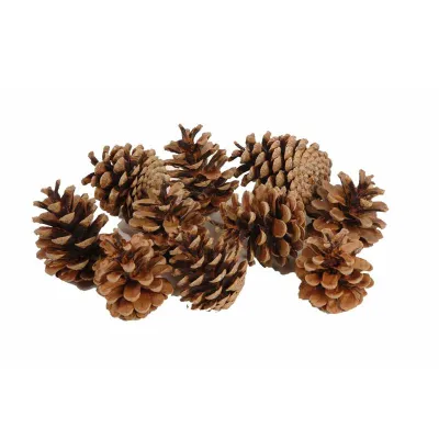 Pigna austriaca natualre 10kg