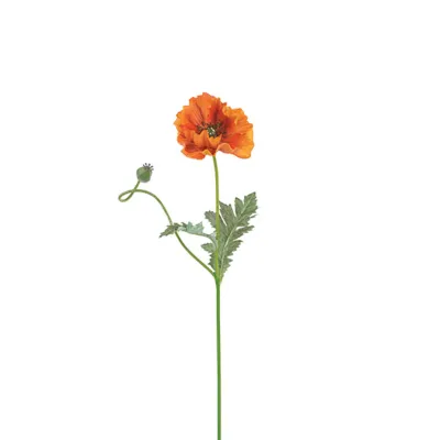 Papavero 2 fiori cm. 74 arancione