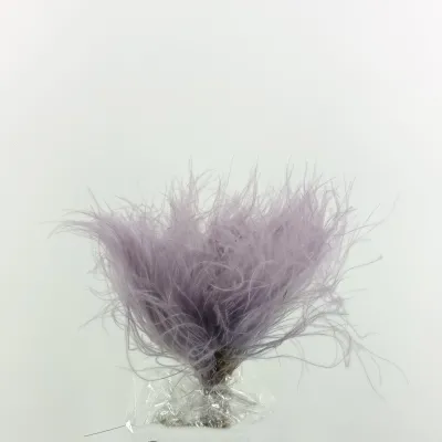 Stypa pennata sfilata cm.35 milka (gr.50)