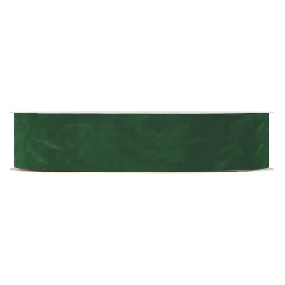 Nastro dbl velvetmm.40 m.30 verde 