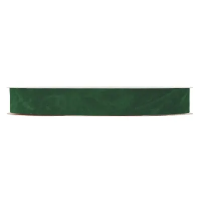 Nastro dbl velvetmm.25 m.30 verde