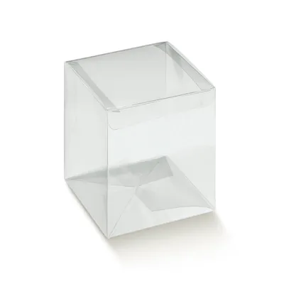Scatola pet 10x10 h.16 (pz.10)