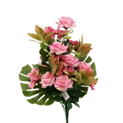 Rosa-dracena frontale cm.62 rosa