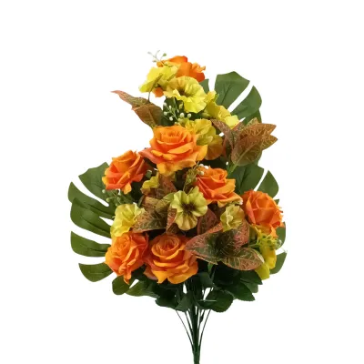 Rosa-dracena frontale cm.62 arancione