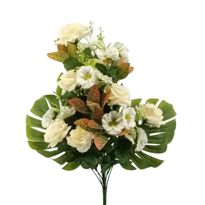Rosa-dracena frontale cm.62 crema