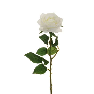 Rosa ecuador cm.65 rosso