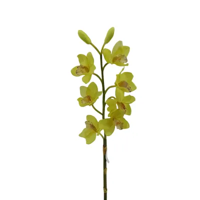 Cymbidium ramo cm.92 verde