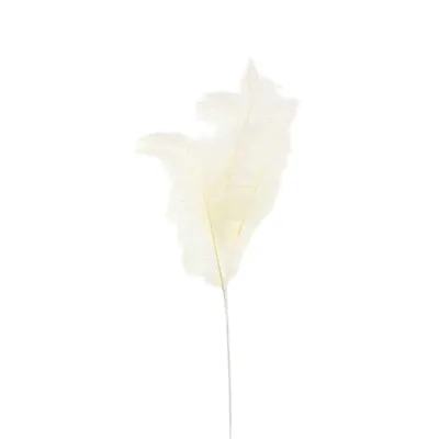 Piuma cm.69 bianco