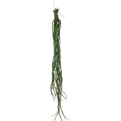Rhipsalis cm.75 verde