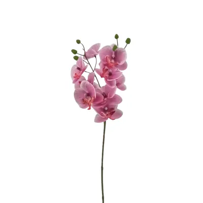 Phalaenopsis  9 fiori cm. 57 pink screziato