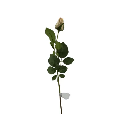 Rosa bocciolo cm.67 pesca
